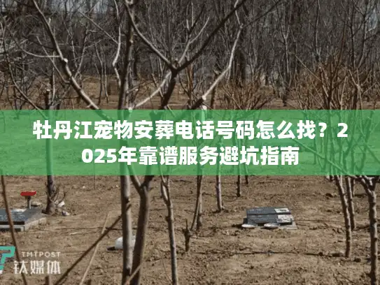 牡丹江宠物安葬电话号码怎么找？2025年靠谱服务避坑指南