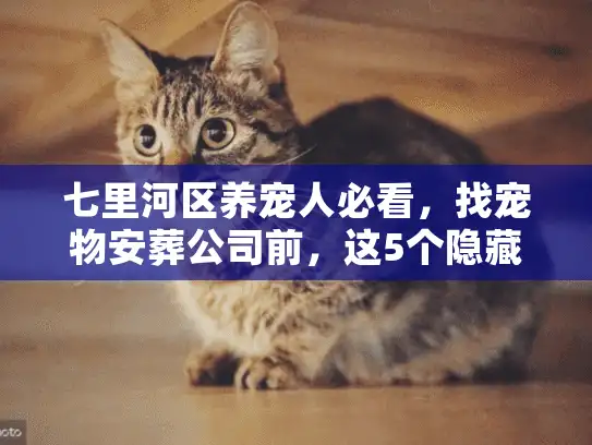 七里河区养宠人必看，找宠物安葬公司前，这5个隐藏坑你踩过吗？