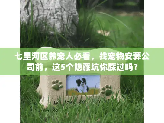 七里河区养宠人必看，找宠物安葬公司前，这5个隐藏坑你踩过吗？