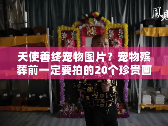天使善终宠物图片？宠物殡葬前一定要拍的20个珍贵画面