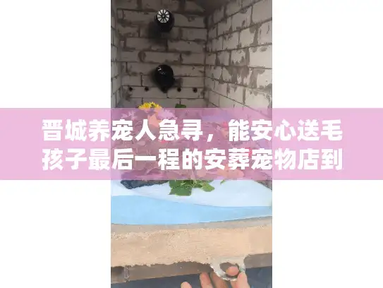 晋城养宠人急寻，能安心送毛孩子最后一程的安葬宠物店到底在哪里？