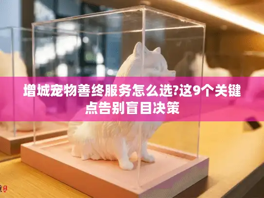 增城宠物善终服务怎么选?这9个关键点告别盲目决策