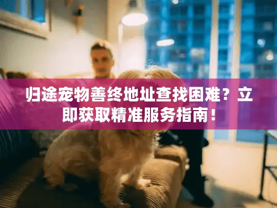 归途宠物善终地址查找困难？立即获取精准服务指南！