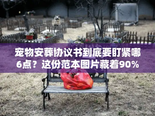 宠物安葬协议书到底要盯紧哪6点？这份范本图片藏着90%主人没注意的细节