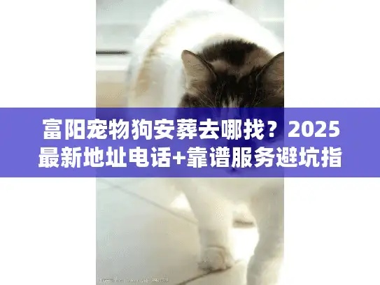 富阳宠物狗安葬去哪找？2025最新地址电话+靠谱服务避坑指南