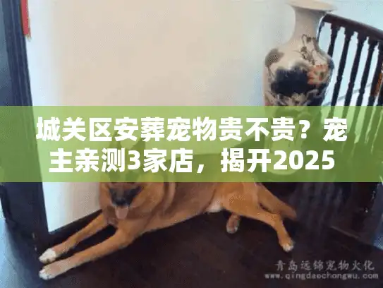 城关区安葬宠物贵不贵？宠主亲测3家店，揭开2025年最新收费真相