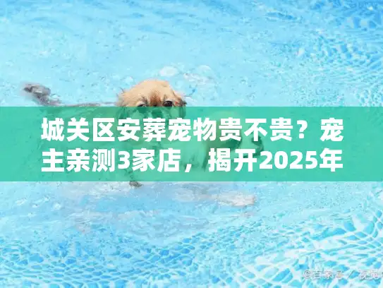 城关区安葬宠物贵不贵？宠主亲测3家店，揭开2025年最新收费真相