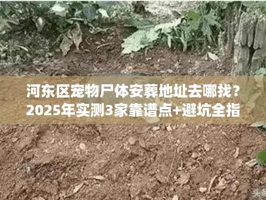 河东区宠物尸体安葬地址去哪找？2025年实测3家靠谱点+避坑全指南
