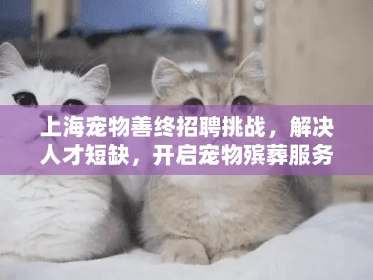 上海宠物善终招聘挑战，解决人才短缺，开启宠物殡葬服务职业生涯！