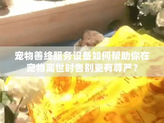 宠物善终服务设备如何帮助你在宠物离世时告别更有尊严？