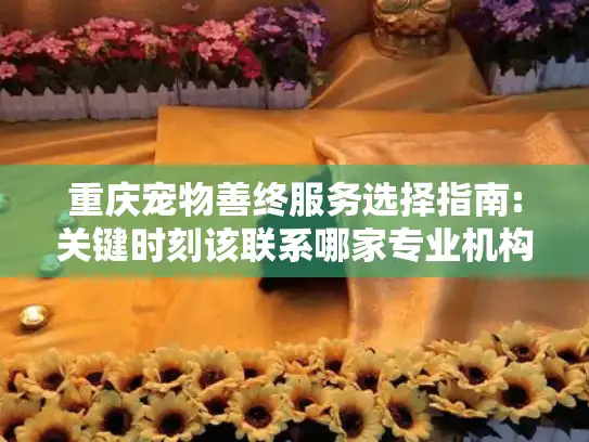 重庆宠物善终服务选择指南:关键时刻该联系哪家专业机构?