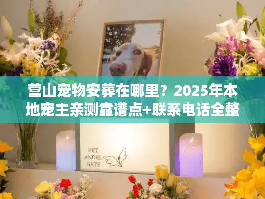 营山宠物安葬在哪里？2025年本地宠主亲测靠谱点+联系电话全整理