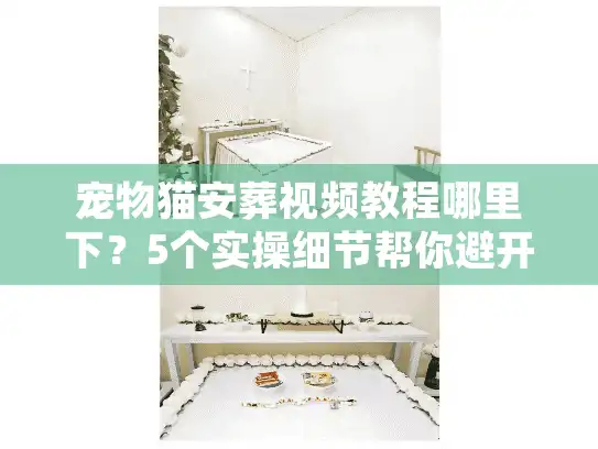 宠物猫安葬视频教程哪里下？5个实操细节帮你避开殡葬服务90%的坑