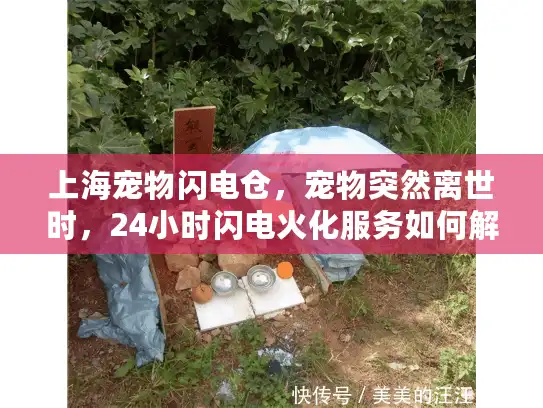 上海宠物闪电仓，宠物突然离世时，24小时闪电火化服务如何解忧？