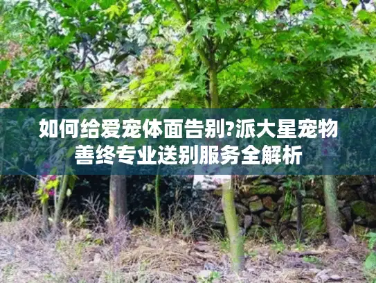 如何给爱宠体面告别?派大星宠物善终专业送别服务全解析
