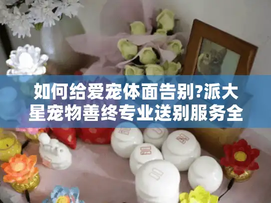如何给爱宠体面告别?派大星宠物善终专业送别服务全解析