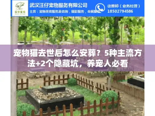 宠物猫去世后怎么安葬？5种主流方法+2个隐藏坑，养宠人必看