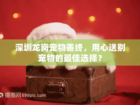 深圳龙岗宠物善终，用心送别宠物的最佳选择？