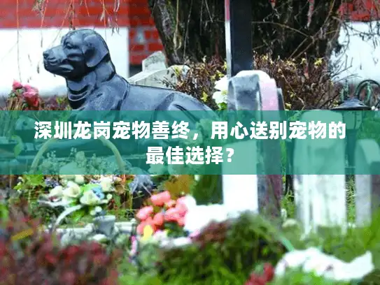 深圳龙岗宠物善终，用心送别宠物的最佳选择？
