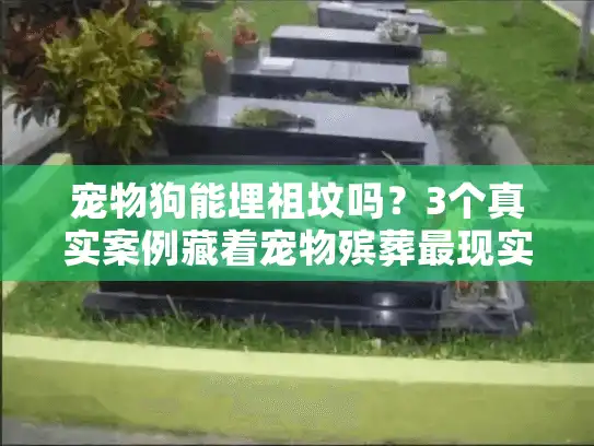 宠物狗能埋祖坟吗？3个真实案例藏着宠物殡葬最现实的答案