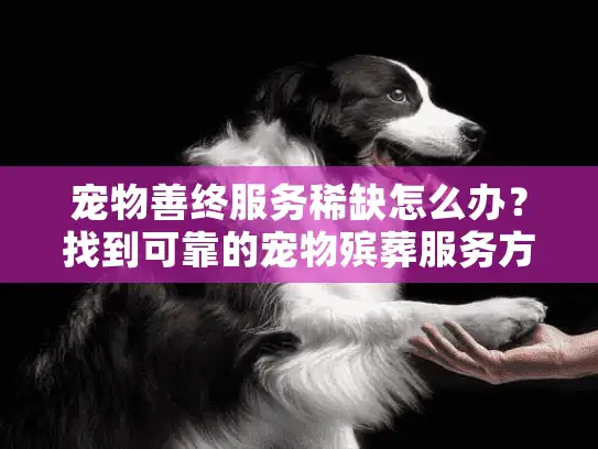 宠物善终服务稀缺怎么办？找到可靠的宠物殡葬服务方案