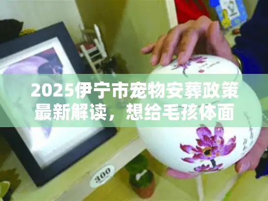 2025伊宁市宠物安葬政策最新解读，想给毛孩体面告别，这些红线不能碰？