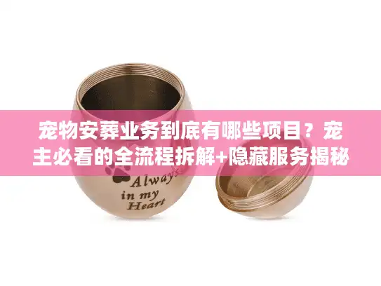 宠物安葬业务到底有哪些项目？宠主必看的全流程拆解+隐藏服务揭秘