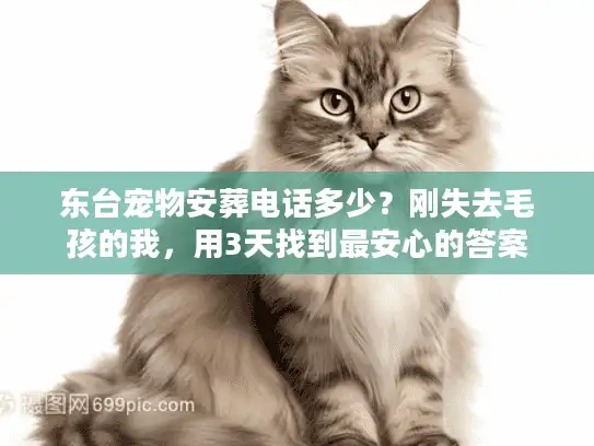 东台宠物安葬电话多少？刚失去毛孩的我，用3天找到最安心的答案