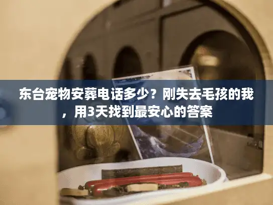 东台宠物安葬电话多少？刚失去毛孩的我，用3天找到最安心的答案