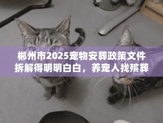 郴州市2025宠物安葬政策文件拆解得明明白白，养宠人找殡葬服务别再踩坑！