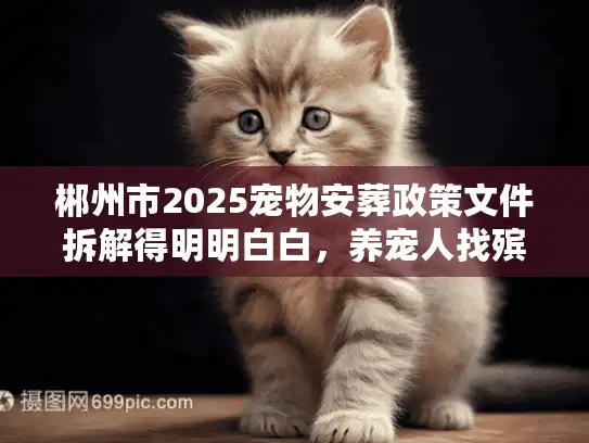 郴州市2025宠物安葬政策文件拆解得明明白白，养宠人找殡葬服务别再踩坑！
