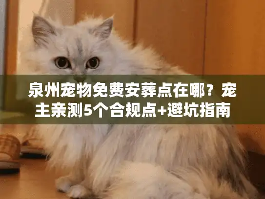 泉州宠物免费安葬点在哪？宠主亲测5个合规点+避坑指南