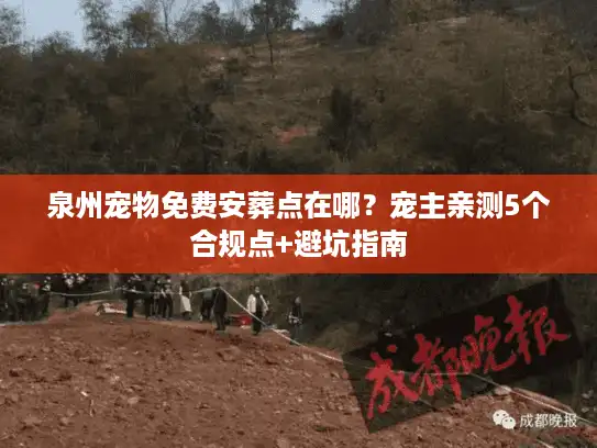 泉州宠物免费安葬点在哪？宠主亲测5个合规点+避坑指南