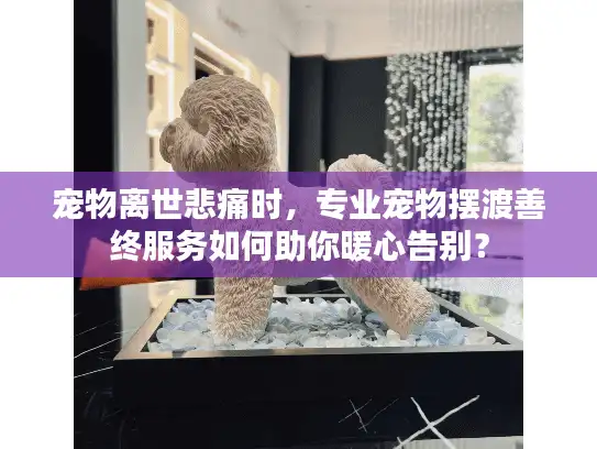 宠物离世悲痛时，专业宠物摆渡善终服务如何助你暖心告别？