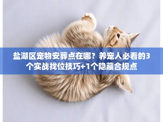 盐湖区宠物安葬点在哪？养宠人必看的3个实战找位技巧+1个隐藏合规点