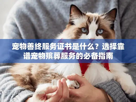 宠物善终服务证书是什么？选择靠谱宠物殡葬服务的必备指南
