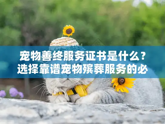 宠物善终服务证书是什么？选择靠谱宠物殡葬服务的必备指南