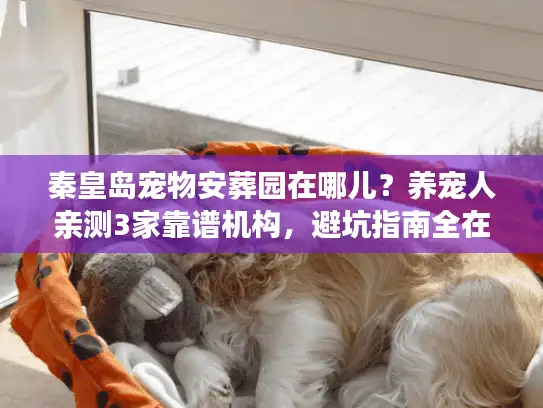 秦皇岛宠物安葬园在哪儿？养宠人亲测3家靠谱机构，避坑指南全在这里