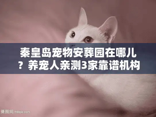 秦皇岛宠物安葬园在哪儿？养宠人亲测3家靠谱机构，避坑指南全在这里
