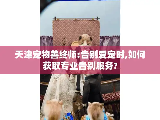 天津宠物善终师:告别爱宠时,如何获取专业告别服务?