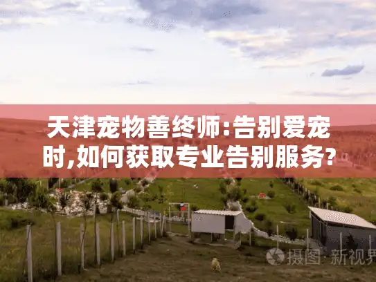 天津宠物善终师:告别爱宠时,如何获取专业告别服务?