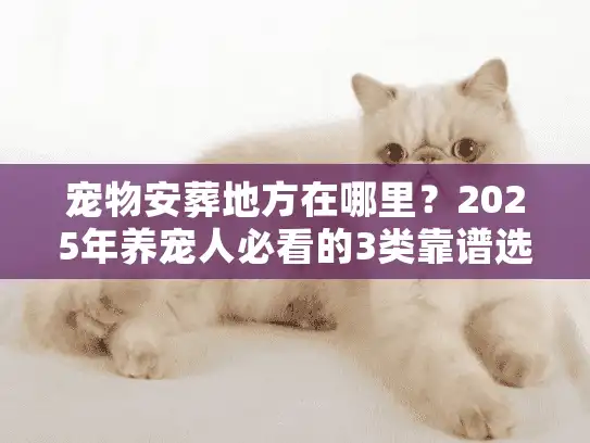 宠物安葬地方在哪里？2025年养宠人必看的3类靠谱选址+避坑指南