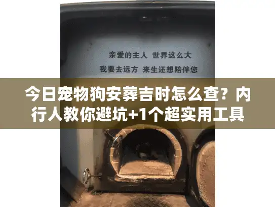 今日宠物狗安葬吉时怎么查？内行人教你避坑+1个超实用工具