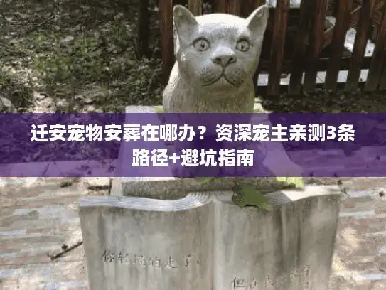 迁安宠物安葬在哪办？资深宠主亲测3条路径+避坑指南