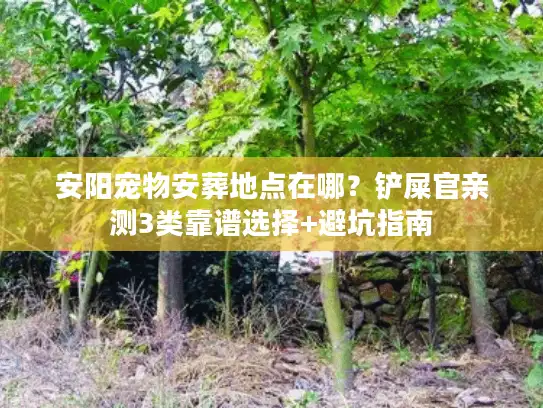 安阳宠物安葬地点在哪？铲屎官亲测3类靠谱选择+避坑指南