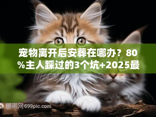 宠物离开后安葬在哪办？80%主人踩过的3个坑+2025最新合规渠道全梳理