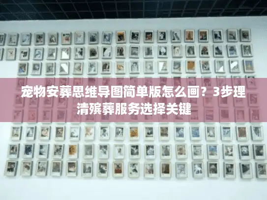 宠物安葬思维导图简单版怎么画？3步理清殡葬服务选择关键