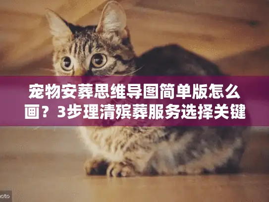 宠物安葬思维导图简单版怎么画？3步理清殡葬服务选择关键