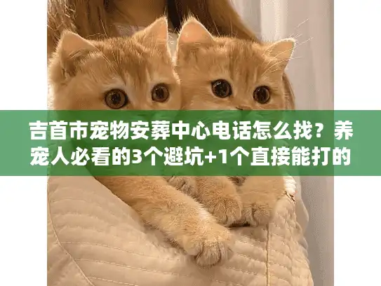 吉首市宠物安葬中心电话怎么找？养宠人必看的3个避坑+1个直接能打的号码