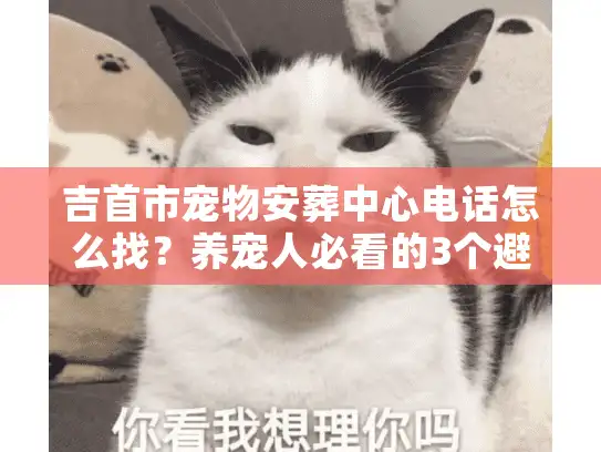 吉首市宠物安葬中心电话怎么找？养宠人必看的3个避坑+1个直接能打的号码